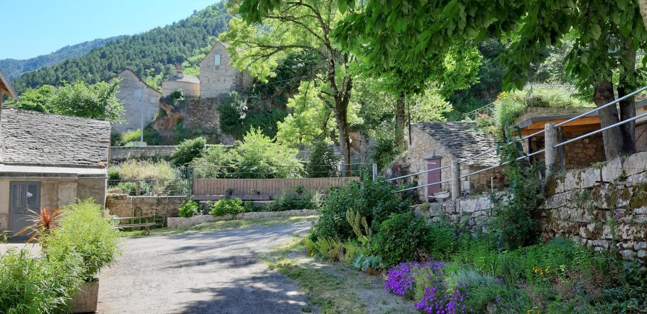 Moulin De Parayre Acomodação com café da manhã Les Vignes Exterior foto